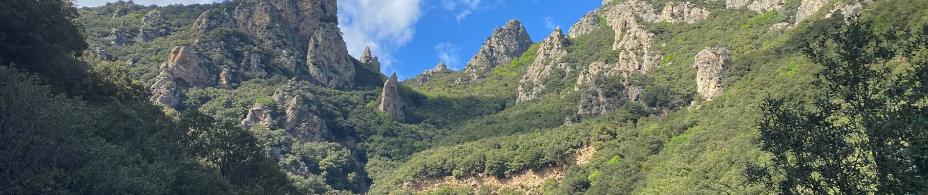 Trail Walking Saint-Martin-de-l'Arçon - Gorges de Colombieres et d Heric - Photo