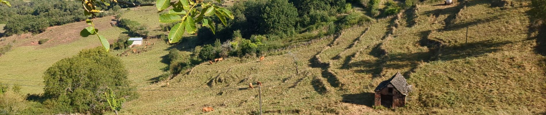 Tocht Stappen Saint-Christophe-Vallon - le puech du cayla - Photo