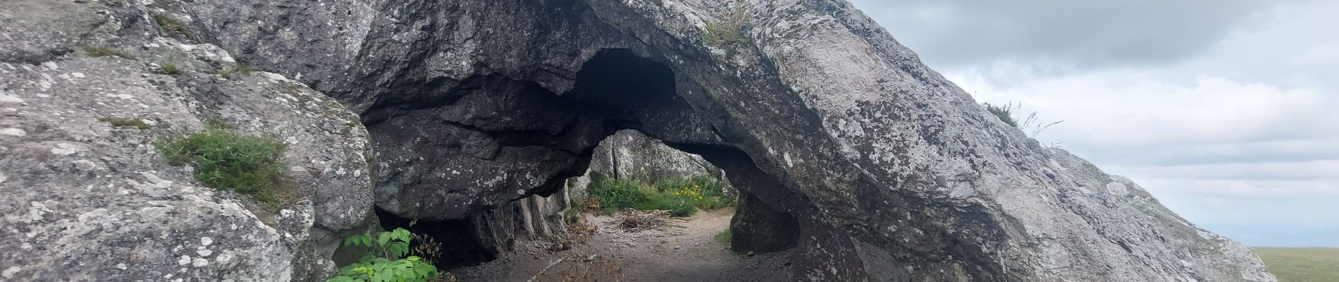 Trail Walking Orcines - Montlachat - Grand Suchet - Photo