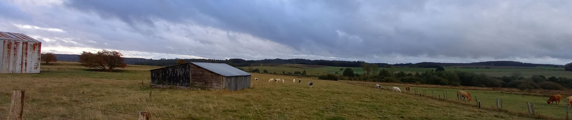 Tour Wandern Léglise - Les Fossés  - Photo