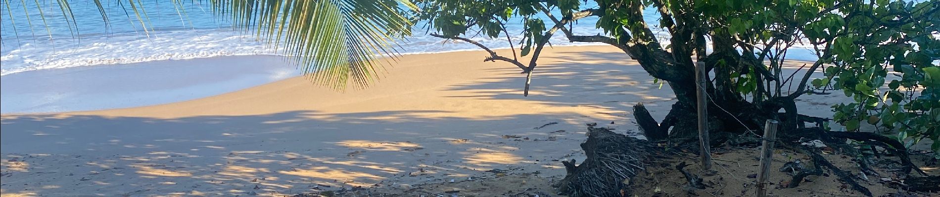 Percorso Sentiero Sainte-Rose - Plage cluny - Photo