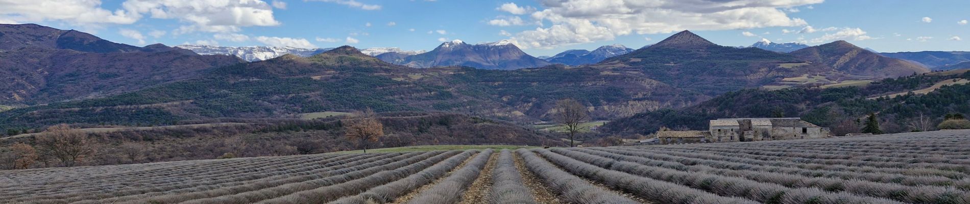 Tour Wandern Thoard - 20240305 - Photo