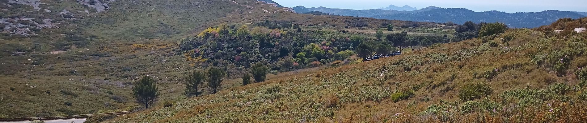 Tocht Stappen Marseille - Mont Carpiagne - Photo