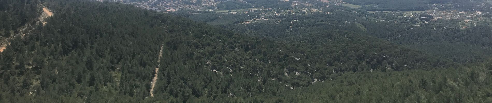 Excursión Senderismo Ollioules - Arrière pays toulonnais  - Photo