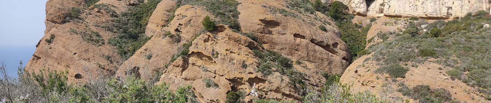 Trail Walking La Ciotat - la siota j1 - Photo