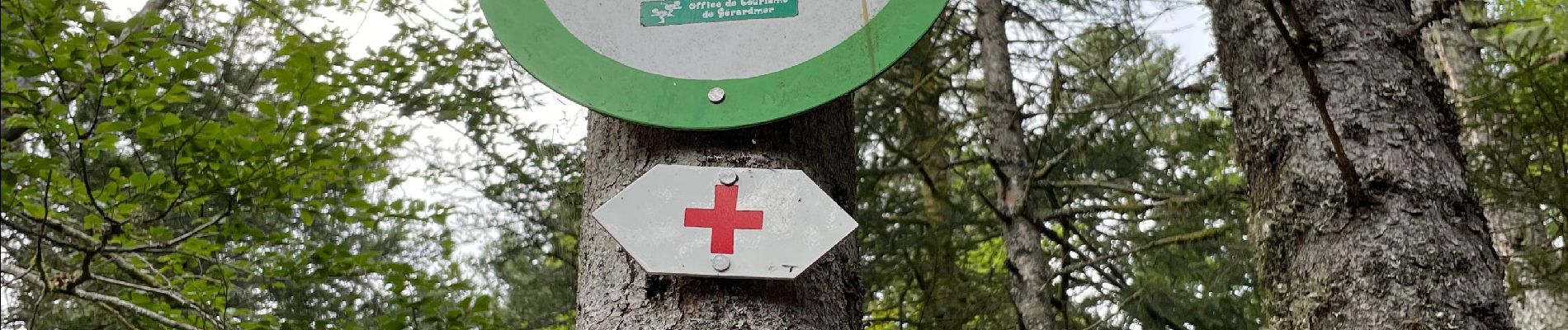 Randonnée Marche Granges-Aumontzey - Autour de Liezey - Photo