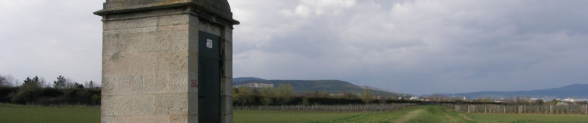 Excursión A pie Gemeinde Leobersdorf - Gärtnerei Plank Runde 