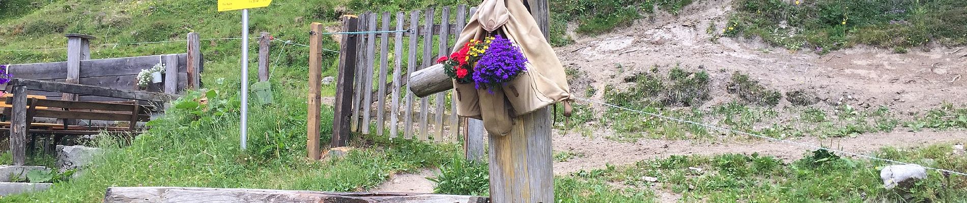 Tour Zu Fuß Ramsau am Dachstein - Fünf-Hütten-Weg 