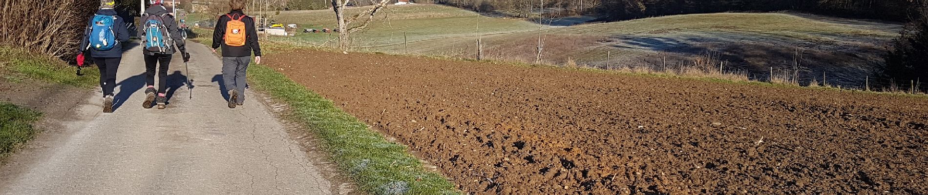 Excursión Senderismo Jemeppe-sur-Sambre - 2019-01-19 Spy 24 km - Photo