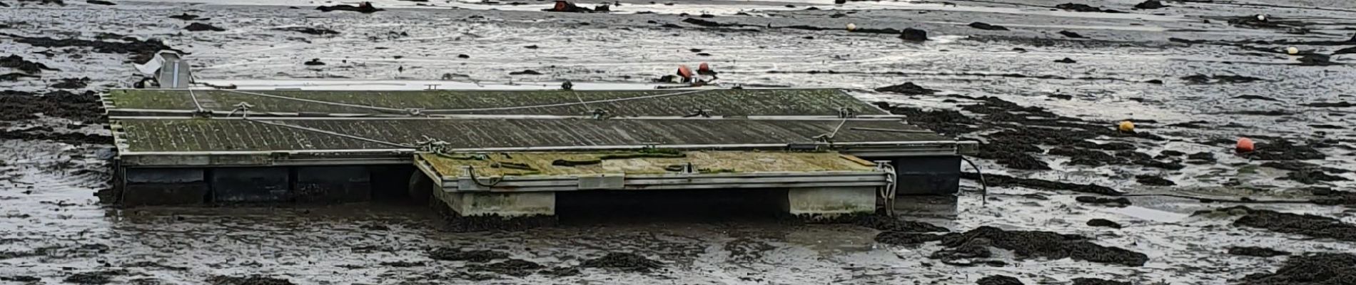 Tocht Stappen Concarneau - Lanriec - Photo