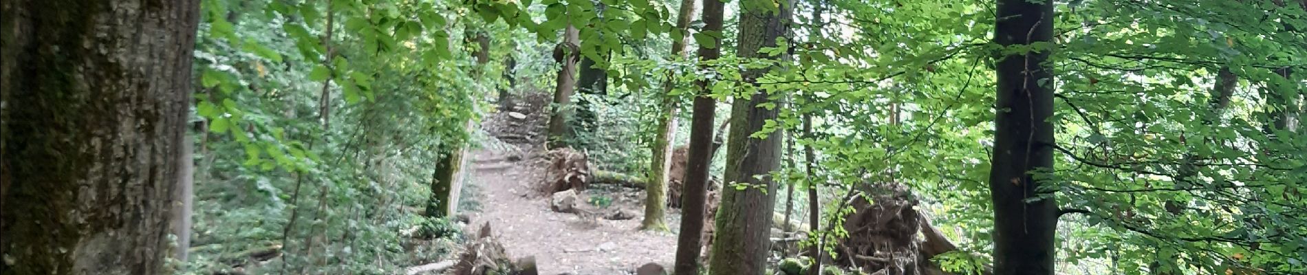 Tocht Stappen Echternach - mullerthal rando E1 . echternach . berdorf . echtrnach . via gorge du loup - Photo