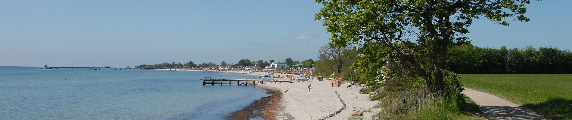 Tour Zu Fuß Kellenhusen - Moor-Route, Kellenhusen - Photo