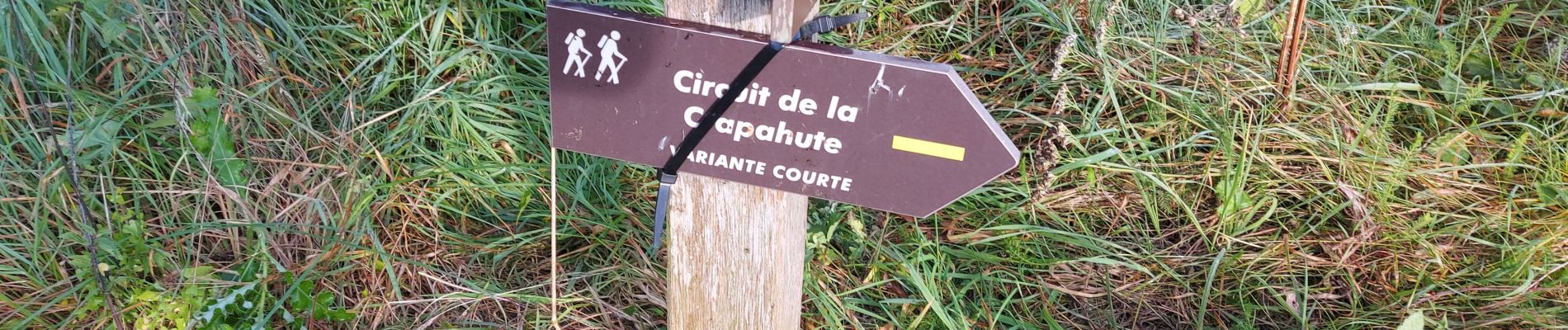 Randonnée Marche Herlies - Crapahute balisage d'automne 2023 - Photo