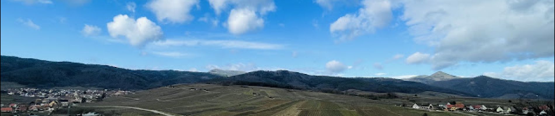 Trail Walking Zellenberg - Le village de Zellenberg en France - Photo