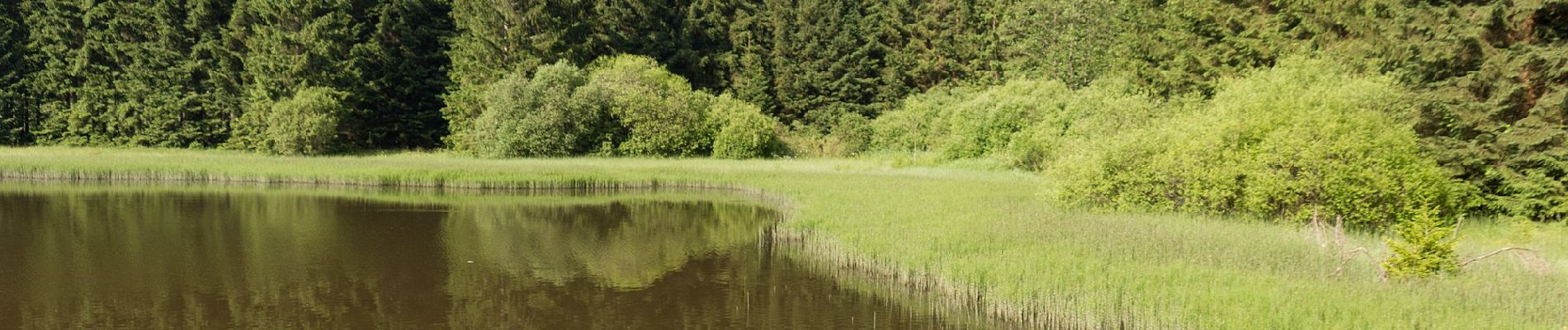 Tour Zu Fuß Geroldsgrün - Floßteichweg DÖ 90 - Photo