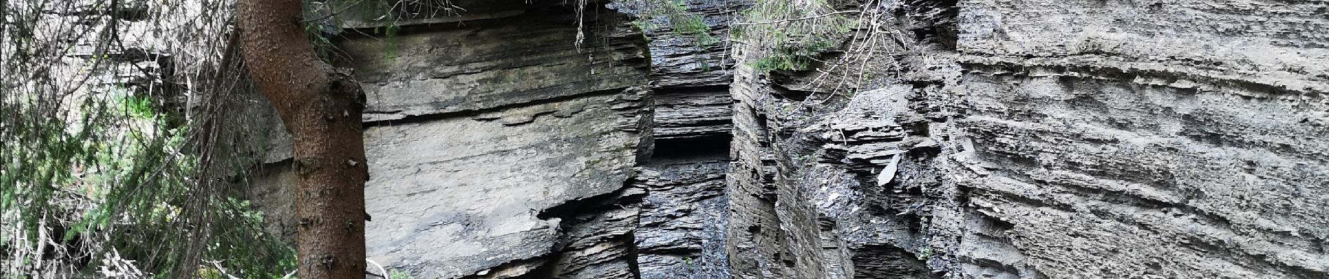 Excursión Marcha nórdica Ayent - bisse d'Ayen  - Photo