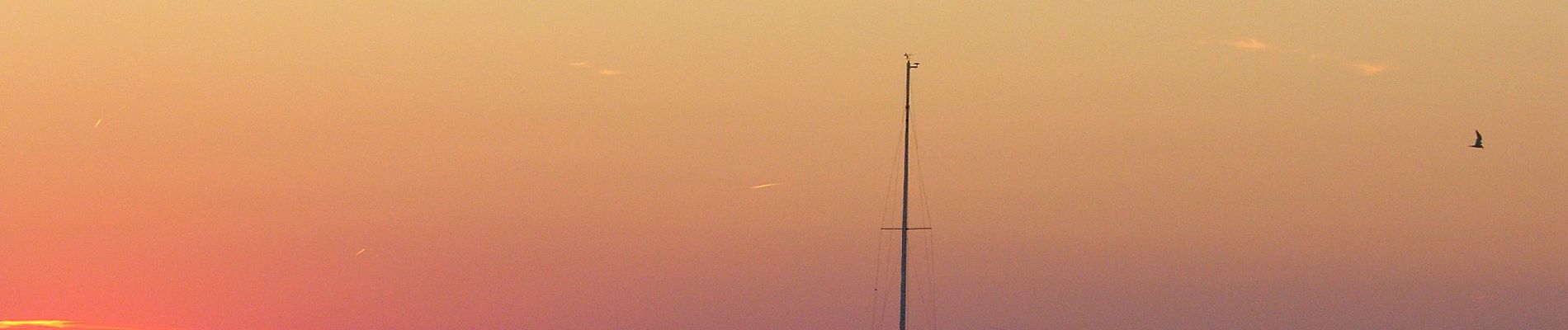 Tocht Te voet Gyugy - S (Balatonlelle - Gyugy) - Photo