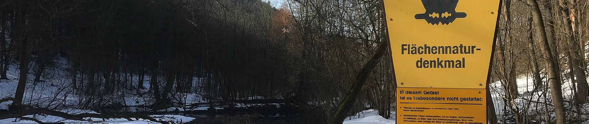 Tour Zu Fuß Unbekannt - Jena-Fürstenbrunnen-Wogau - Photo