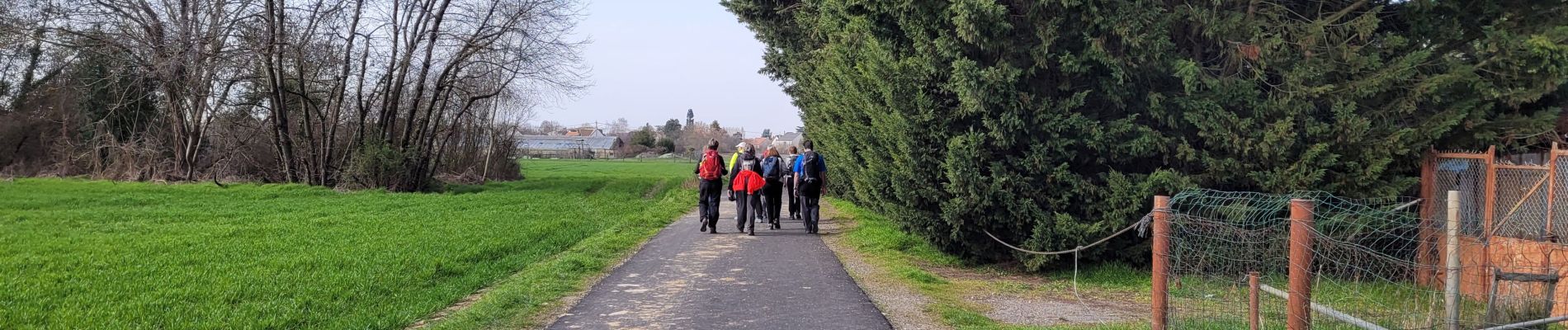 Trail Walking Yerres - Boucle Yerres - Villecresnes - Mandres - brunoy  - Photo