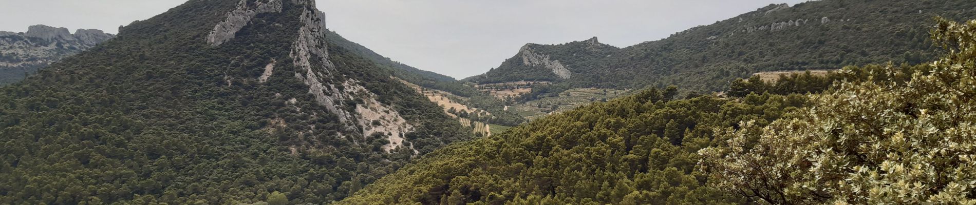 Excursión Senderismo Lafare - Lafare Suzette - Photo