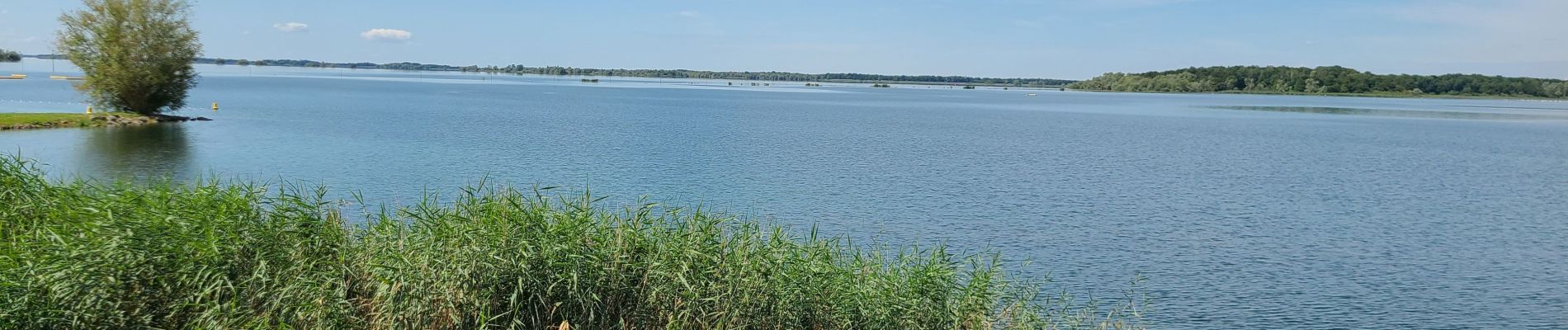 Excursión Senderismo Sainte-Marie-du-Lac-Nuisement - Le Der du 25/07/2024 - Photo