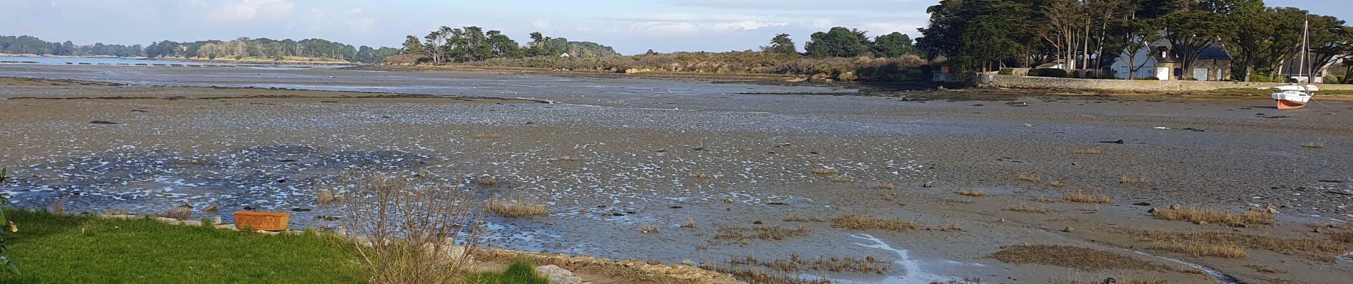 Tour Wandern Arzon - Arzon - Balade du renard - Photo