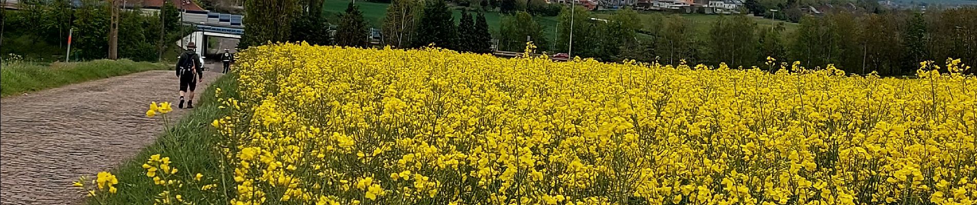 Percorso Marcia Châtelet - Marche éphémères Ecureuil - Photo