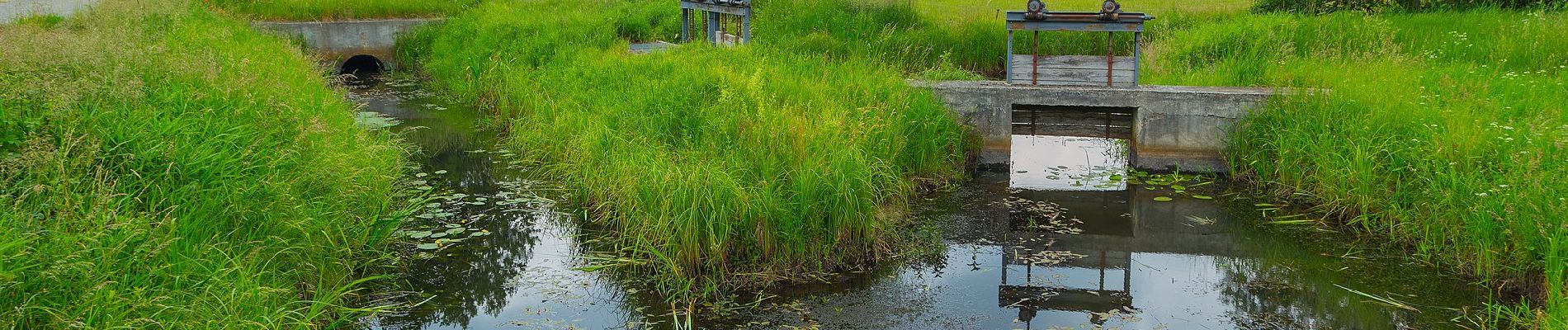 Excursión A pie Alt Zauche-Wußwerk - weg Wußwerk-Caminchen- Waldow-Mochow-Mochowsee - Photo