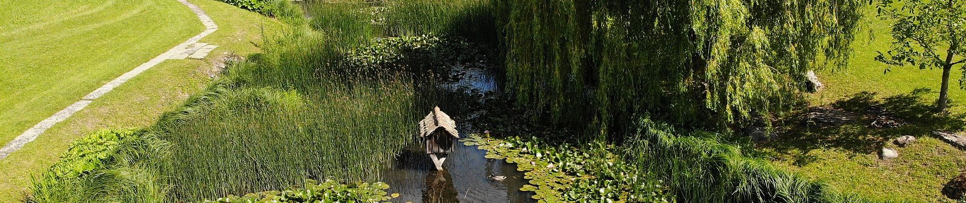 Randonnée A pied Zumikon - Waltikon - Wehrmännerdenkmal - Photo