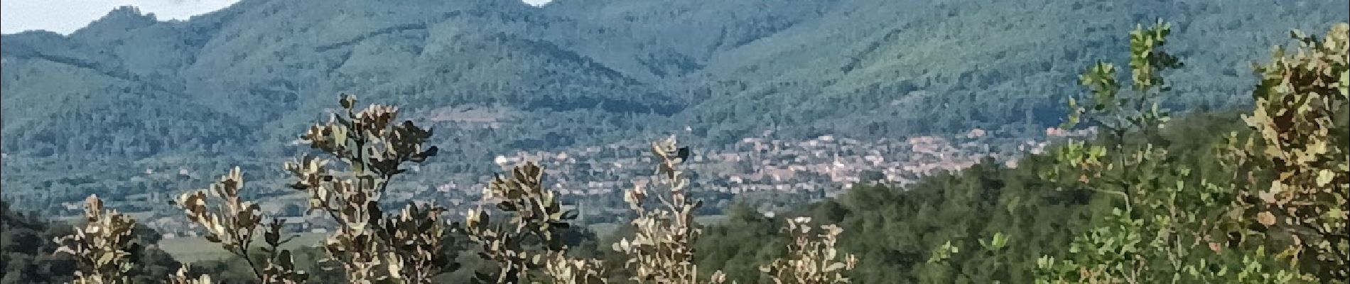 Tocht Stappen Pierrefeu-du-Var - La Portanière (demi-journée) 27-10-23 - Photo