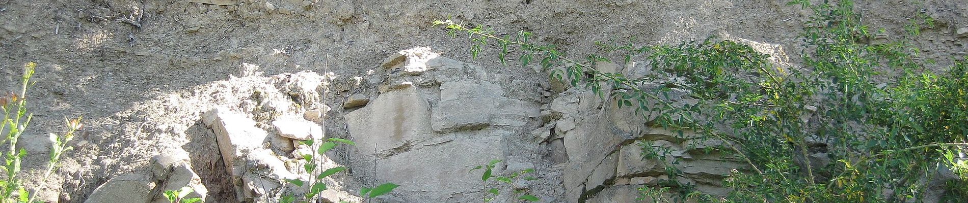 Tocht Te voet Ludwigsburg - DE-SAV Rotes Kreuz, Lemberg-Poppenweiler - Photo