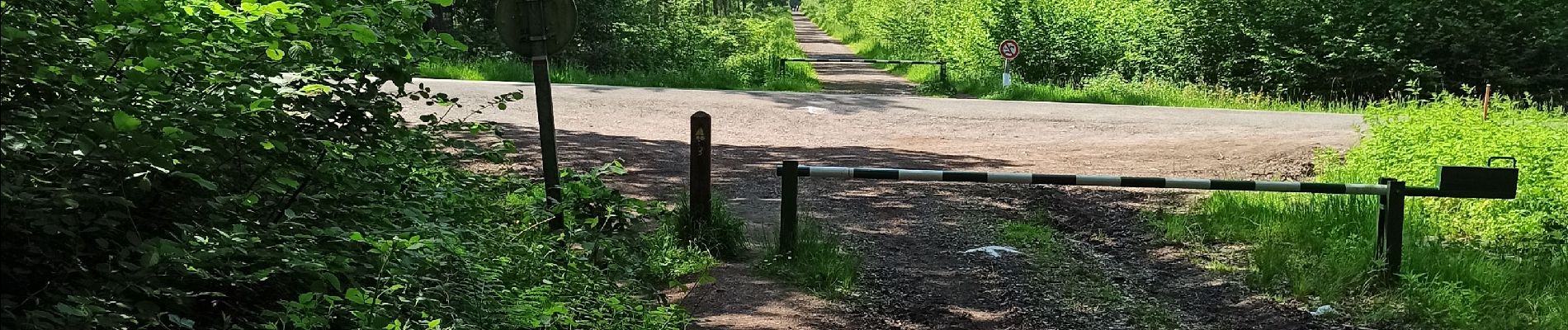 Tocht Stappen Saint-Amand-les-Eaux - terril vicoigne - Photo