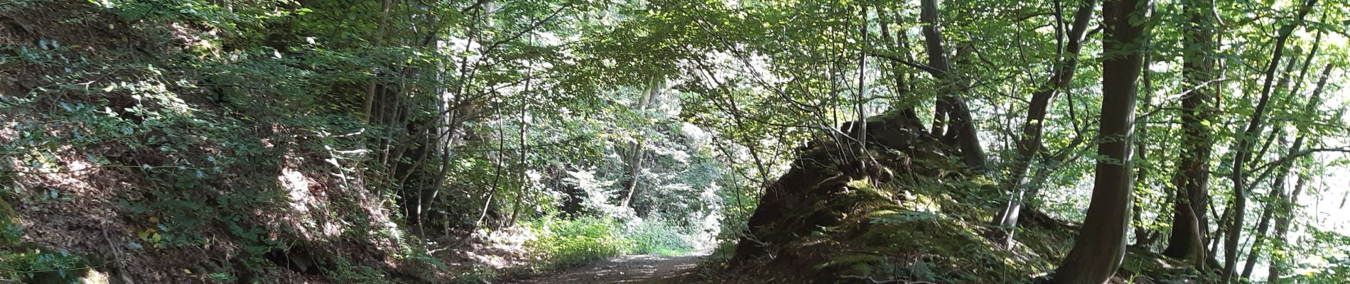 Percorso Marcia Theux - les digues . etang de chawion . devant staneux . les digues - Photo