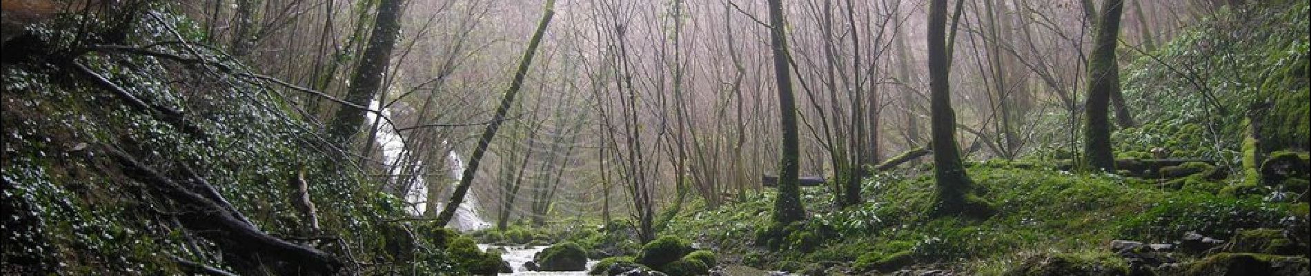 Tocht Mountainbike Floirac - Boucle Floirac - Montvalent par Le Pech Cayrou et Roque De Cor - Photo