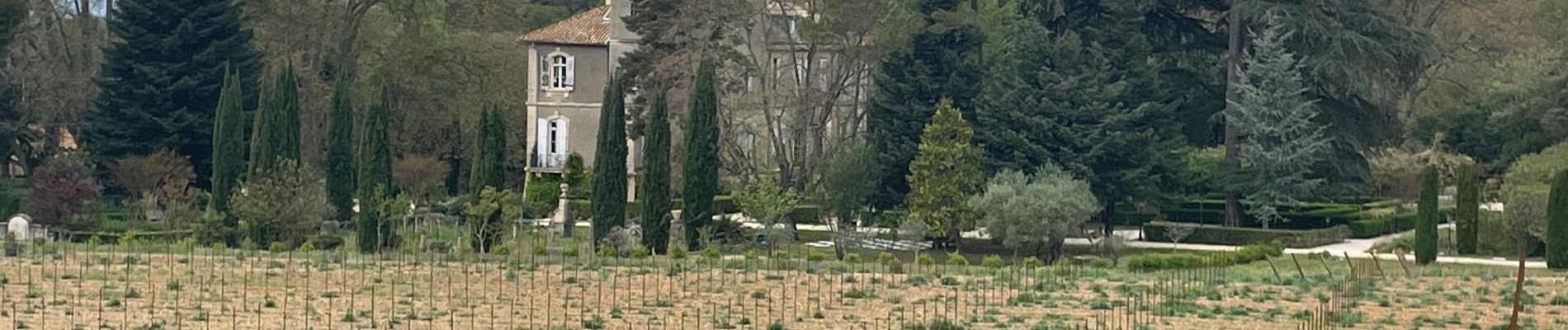 Randonnée Marche Aniane - À l’âne château Capion - Photo