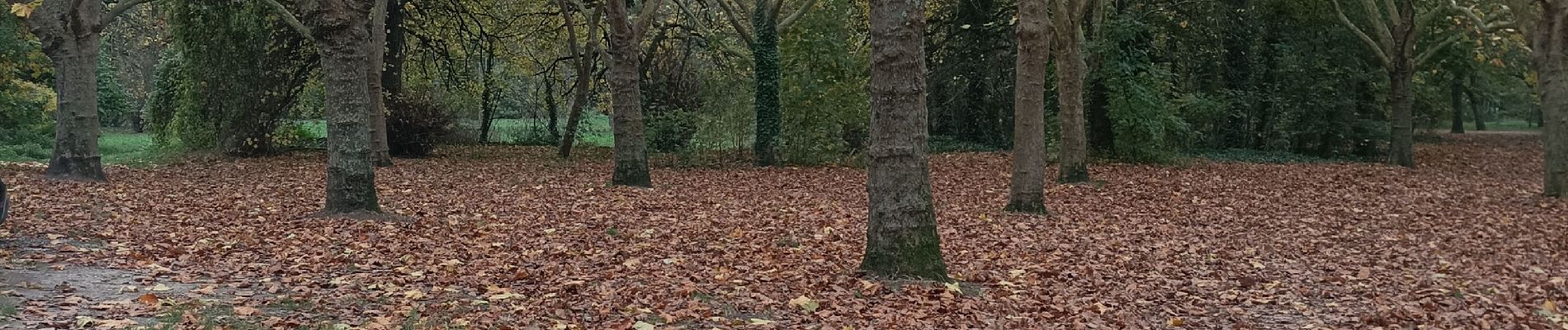 Tocht Noords wandelen Parijs - avant initiation mn du 16 10 - Photo