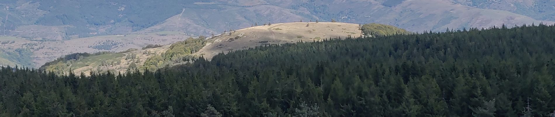 Trail Horseback riding Vialas - 2022-09-22 Rando CVA Lozere Mas de la Barque vers Chalet Mont Lozere - Photo