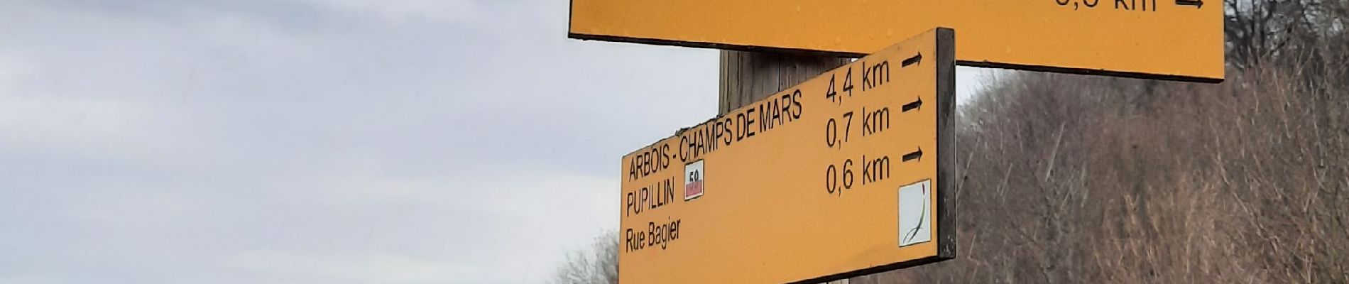 Randonnée Marche Arbois - Arbois-Pupillin - Photo