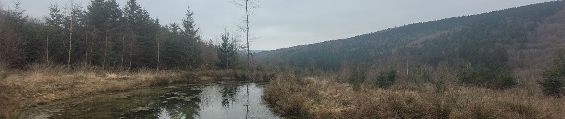 Tocht Stappen Manhay - rando deux rys 30-01-2024 - Photo