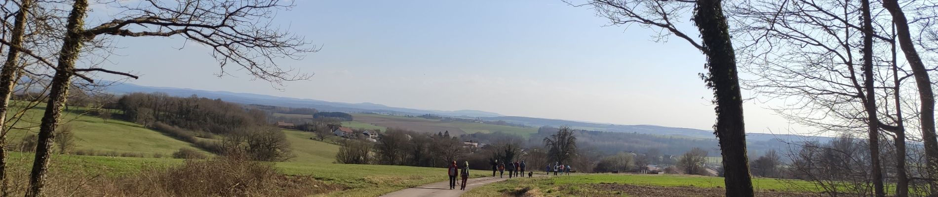 Tour Wandern Frémonville - Fremonville  - Photo