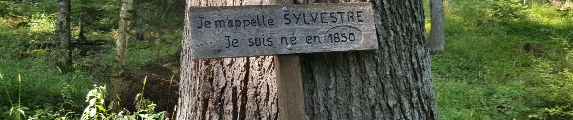 Trail Walking Crots - Fontaine de l'ours et belvederes bragouse - Photo