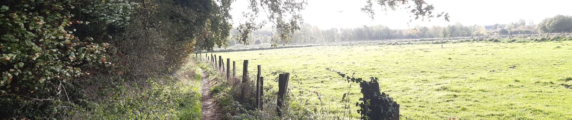 Tocht Stappen Seraing - petit tour à boncelle en attendant la voiture - Photo