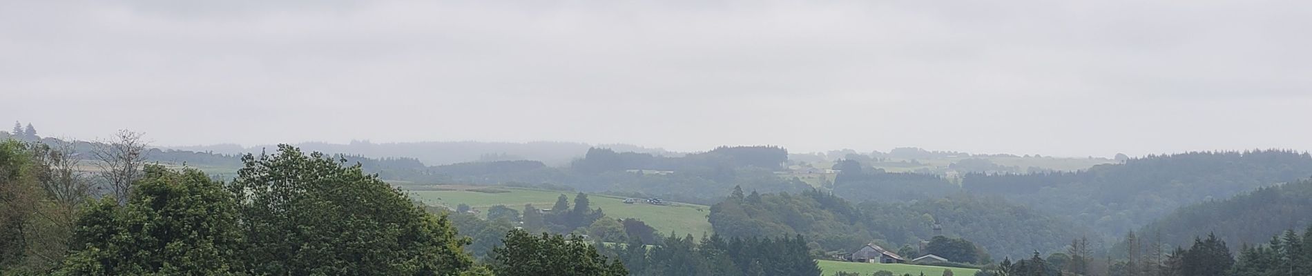 Tocht Stappen Vresse-sur-Semois - rando laforêt 23-08-2024 - Photo