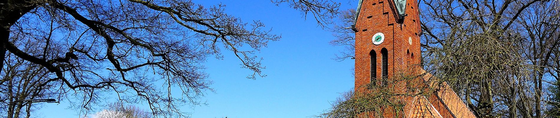 Tour Zu Fuß Bispingen - Rundwanderweg Hörpel H1 - Photo