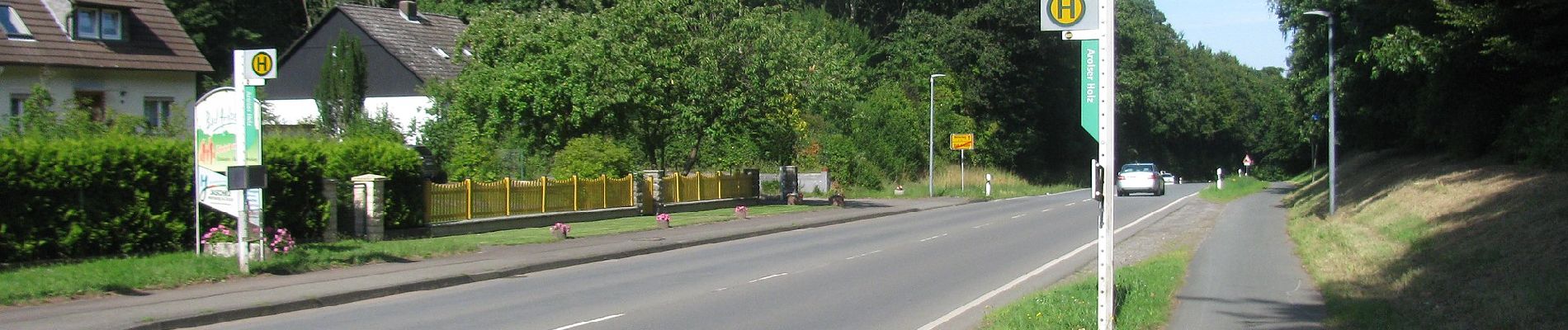 Tocht Te voet Bad Arolsen - Bad Arolsen Wanderweg A1 - Photo