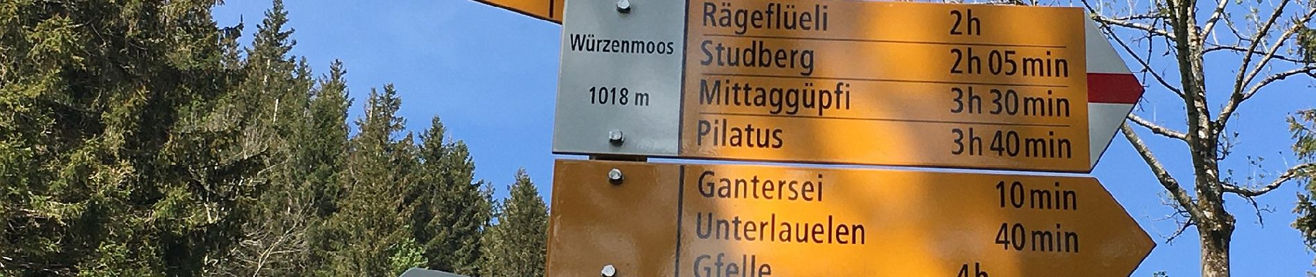 Randonnée A pied Schwarzenberg - Sonnhalde - Linden - Meiestoss - Moos - Photo