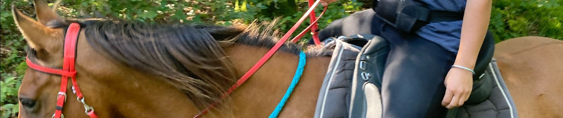 Tocht Paardrijden Domèvre-sur-Vezouze - Equiplaine 21 septembre 24 cavaliers  - Photo