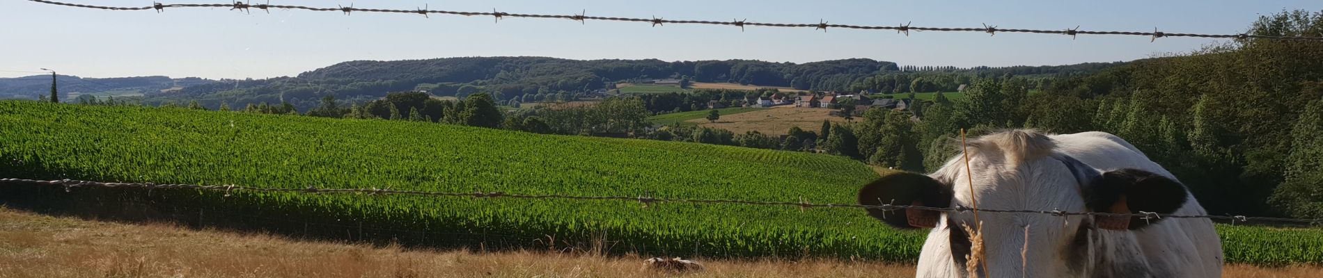 Tour Elektrofahrrad Ronse - Renaix - Flobecq - Renaix 34Km (pas 61 - Bug SityTrail_beta) - Photo