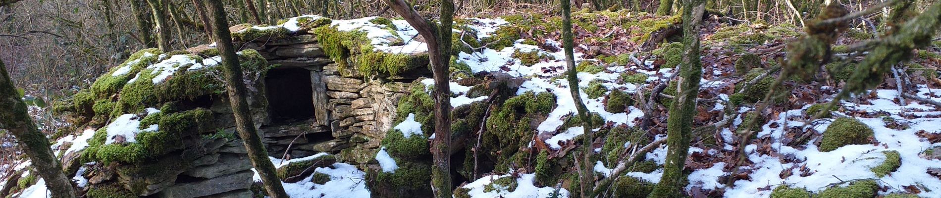 Tour Wandern Montceaux-Ragny - site cadoles - Photo