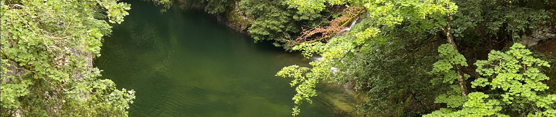 Tocht Stappen Orbe - Gorge de l’Orbe - Photo